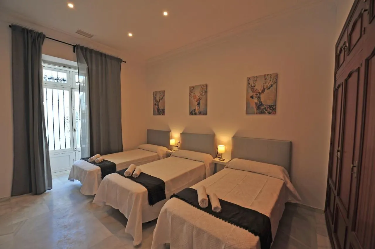 Apartamento Palacio Centro Terraza 8 Dormitorios Jerez de la Frontera